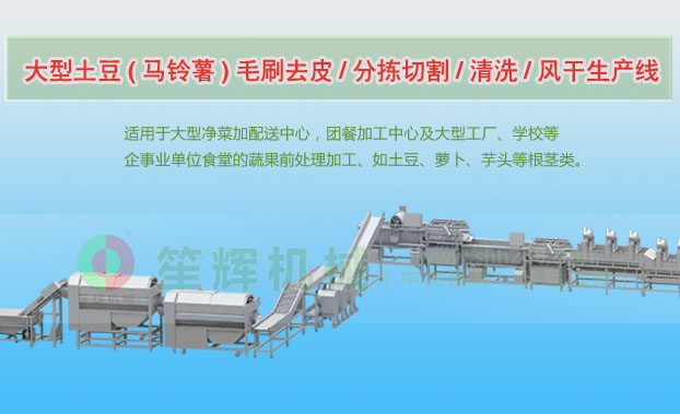 泊头连续式土豆去皮清洗切割风干生产线